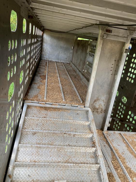 Livestock Network Cattle Trailers For Sale Cattle Trucking Jobs